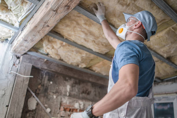 Best Spray Foam Insulation in Riceville, TN