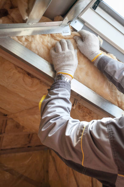 Best Blown-in Insulation in Riceville, TN