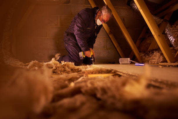 Best Cellulose Insulation in Riceville, TN